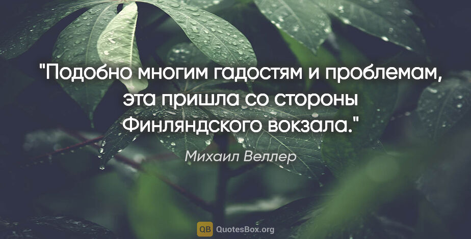 Михаил Веллер цитата: "Подобно многим гадостям и проблемам, эта пришла со стороны..."