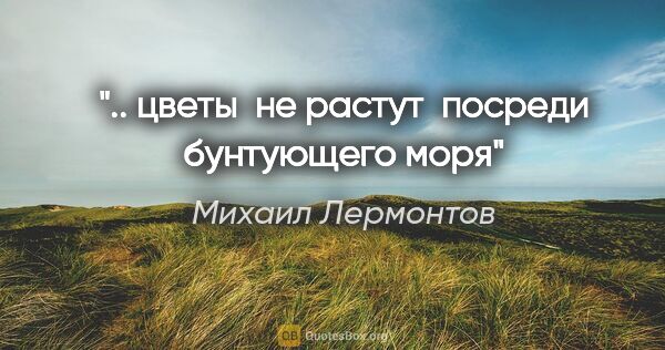 Михаил Лермонтов цитата: ".. цветы  не растут  посреди бунтующего моря"