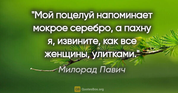 Милорад Павич цитата: "Мой поцелуй напоминает мокрое серебро, а пахну я, извините,..."