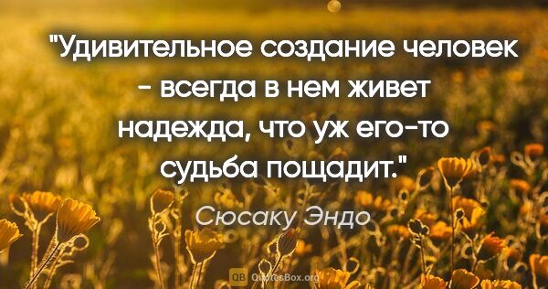 Сюсаку Эндо цитата: "Удивительное создание человек - всегда в нем живет надежда,..."