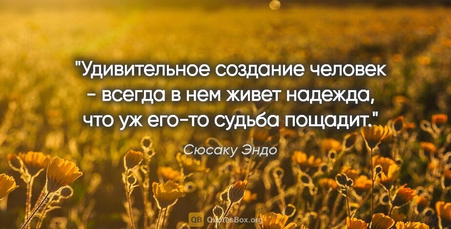 Сюсаку Эндо цитата: "Удивительное создание человек - всегда в нем живет надежда,..."