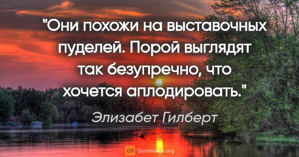 Элизабет Гилберт цитата: "Они похожи на выставочных пуделей. Порой выглядят так..."