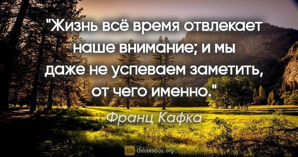 Франц Кафка цитата: "Жизнь всё время отвлекает наше внимание; и мы даже не успеваем..."