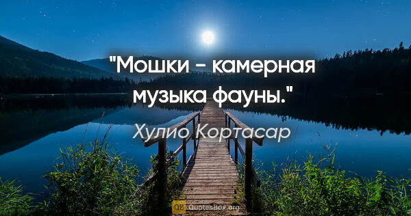 Хулио Кортасар цитата: "Мошки - камерная музыка фауны."