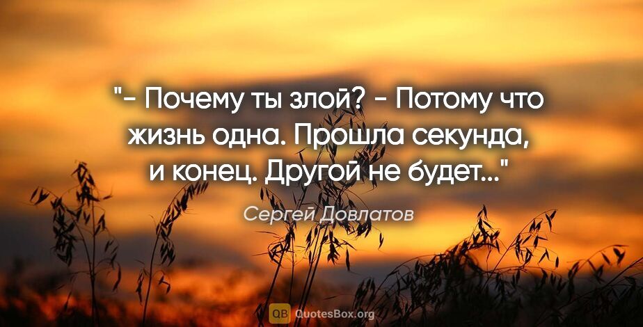 Сергей Довлатов цитата: "- Почему ты злой?

- Потому что жизнь одна. Прошла секунда, и..."