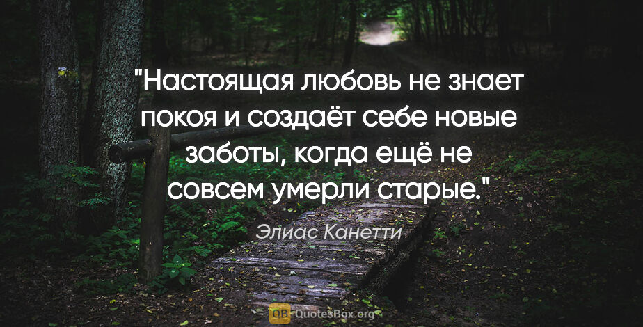 Элиас Канетти цитата: "Настоящая любовь не знает покоя и создаёт себе новые заботы,..."