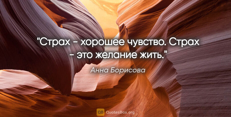 Анна Борисова цитата: "Страх - хорошее чувство. Страх - это желание жить."
