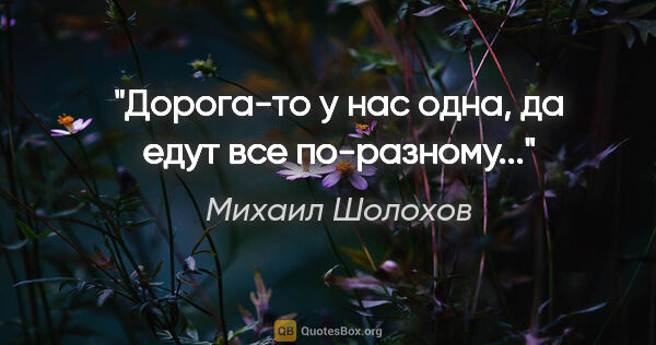 Михаил Шолохов цитата: "Дорога-то у нас одна, да едут все по-разному..."