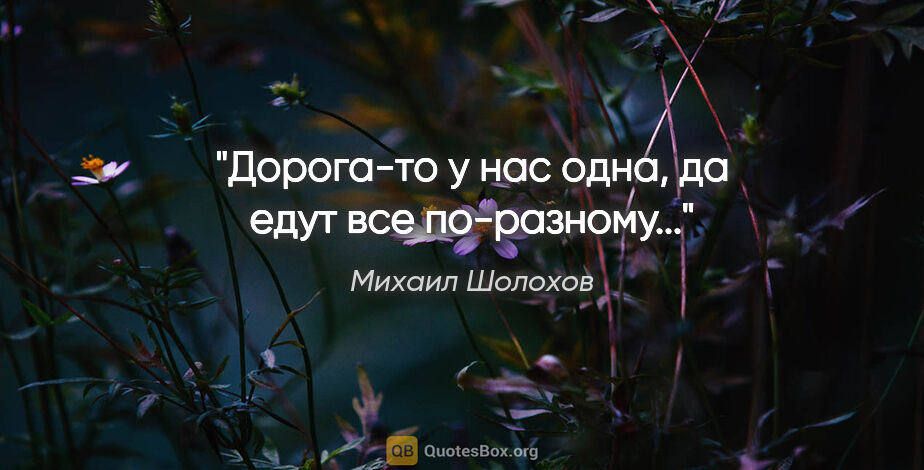 Михаил Шолохов цитата: "Дорога-то у нас одна, да едут все по-разному..."