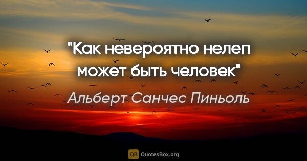 Альберт Санчес Пиньоль цитата: "Как невероятно нелеп может быть человек"