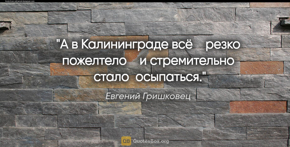 Евгений Гришковец цитата: "А в Калининграде всё    резко пожелтело    и стремительно ..."