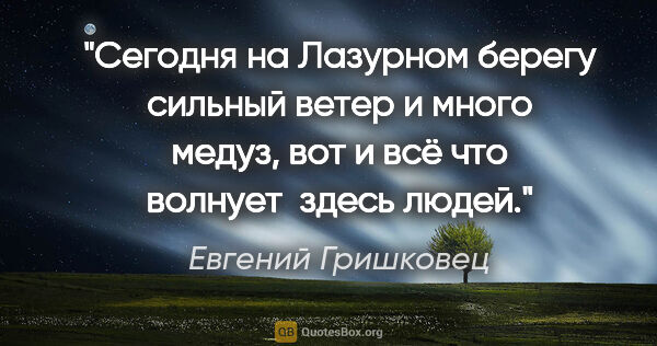 Евгений Гришковец цитата: "Сегодня на Лазурном берегу сильный ветер и много медуз, вот и..."