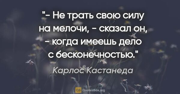 Карлос Кастанеда цитата: "- Не трать свою силу на мелочи, - сказал он, - когда имеешь..."