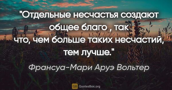 Франсуа-Мари Аруэ Вольтер цитата: "Отдельные несчастья создают общее благо , так что, чем больше..."