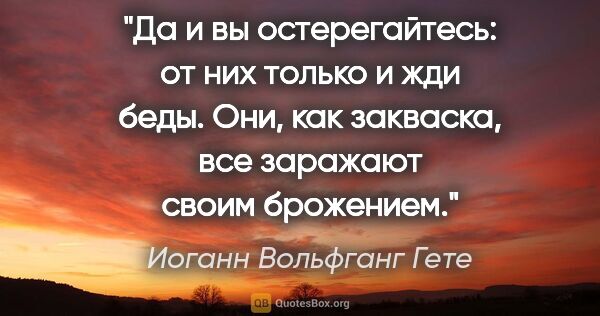 Иоганн Вольфганг Гете цитата: "Да и вы остерегайтесь: от них только и жди беды. Они, как..."