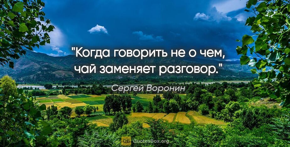 Сергей Воронин цитата: "Когда говорить не о чем, чай заменяет разговор."