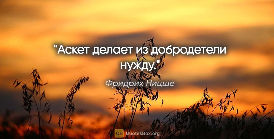 Фридрих Ницше цитата: "Аскет делает из добродетели нужду."