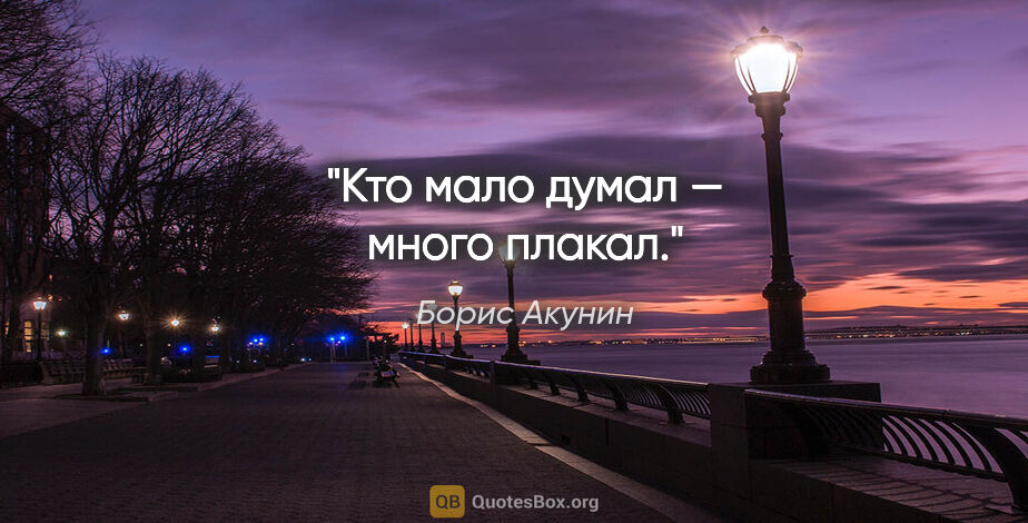 Борис Акунин цитата: "Кто мало думал — много плакал."