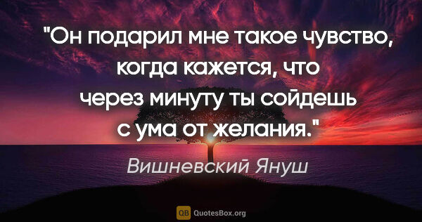 Вишневский Януш цитата: "Он подарил мне такое чувство, когда кажется, что через минуту..."