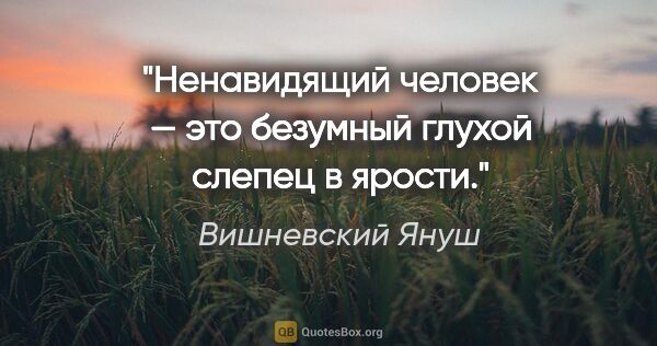 Вишневский Януш цитата: "Ненавидящий человек — это безумный глухой слепец в ярости."