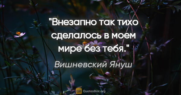 Вишневский Януш цитата: "Внезапно так тихо сделалось в моем мире без тебя."