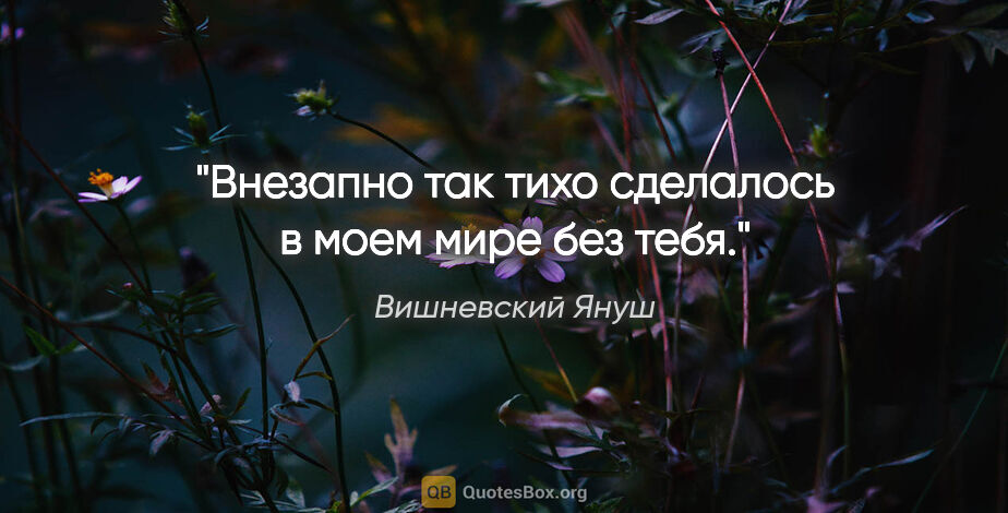 Вишневский Януш цитата: "Внезапно так тихо сделалось в моем мире без тебя."
