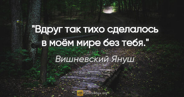 Вишневский Януш цитата: "Вдруг так тихо сделалось в моём мире без тебя."