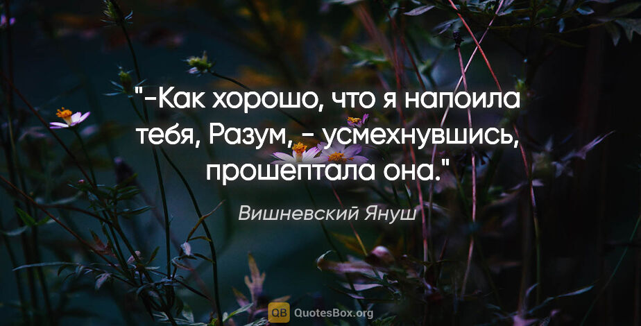 Вишневский Януш цитата: "-Как хорошо, что я напоила тебя, Разум, - усмехнувшись,..."
