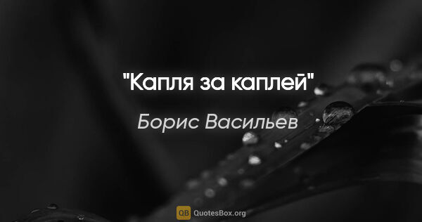 Борис Васильев цитата: ""Капля за каплей""