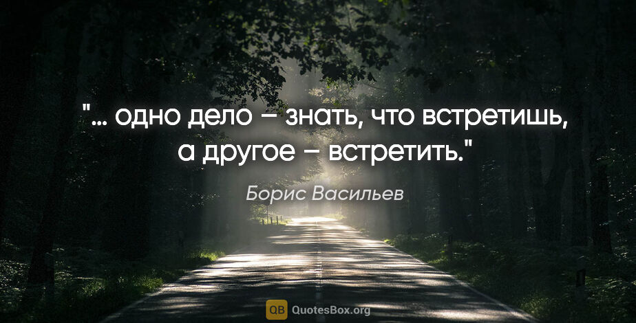 Борис Васильев цитата: "… одно дело – знать, что встретишь, а другое – встретить."