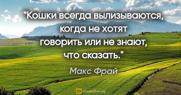 Макс Фрай цитата: "Кошки всегда вылизываются, когда не хотят говорить или не..."