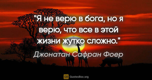 Джонатан Сафран Фоер цитата: "Я не верю в бога, но я верю, что все в этой жизни жутко сложно."