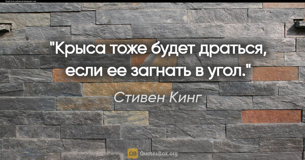 Стивен Кинг цитата: "Крыса тоже будет драться, если ее загнать в угол."