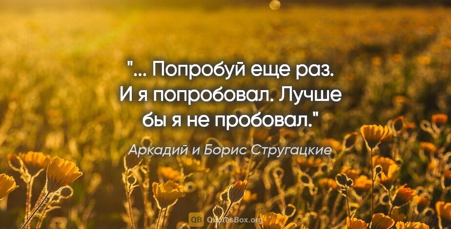 Аркадий и Борис Стругацкие цитата: ""... Попробуй еще раз". И я попробовал. Лучше бы я не пробовал."