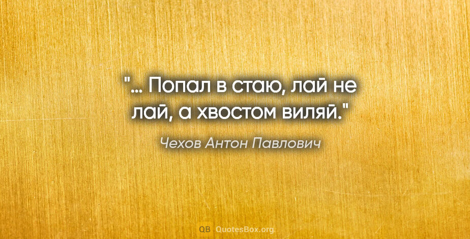 Чехов Антон Павлович цитата: "… Попал в стаю, лай не лай, а хвостом виляй."