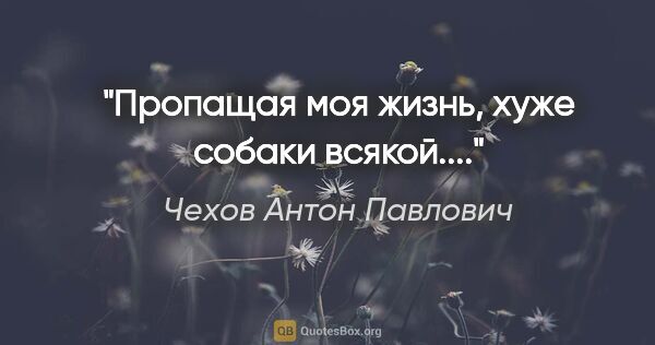 Чехов Антон Павлович цитата: ""Пропащая моя жизнь, хуже собаки всякой..."."