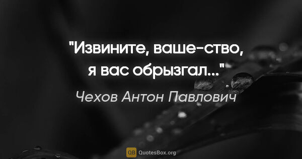 Чехов Антон Павлович цитата: "Извините, ваше-ство, я вас обрызгал..."