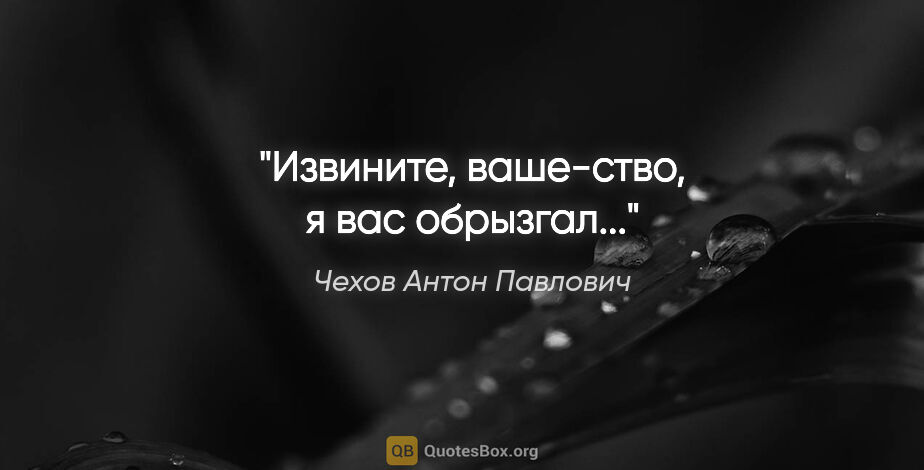 Чехов Антон Павлович цитата: "Извините, ваше-ство, я вас обрызгал..."