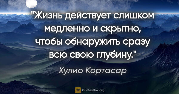 Хулио Кортасар цитата: "Жизнь действует слишком медленно и скрытно, чтобы обнаружить..."