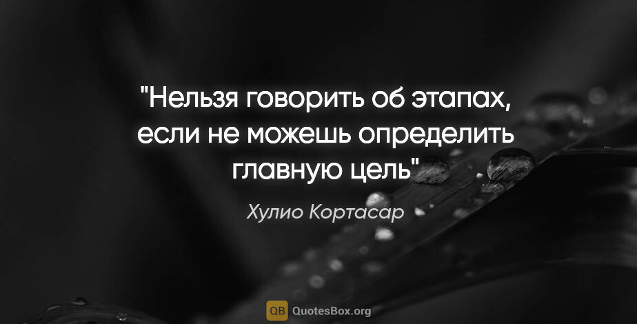 Хулио Кортасар цитата: "Нельзя говорить об этапах, если не можешь определить главную цель"