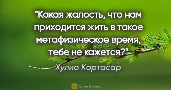 Хулио Кортасар цитата: "Какая жалость, что нам приходится жить в такое метафизическое..."