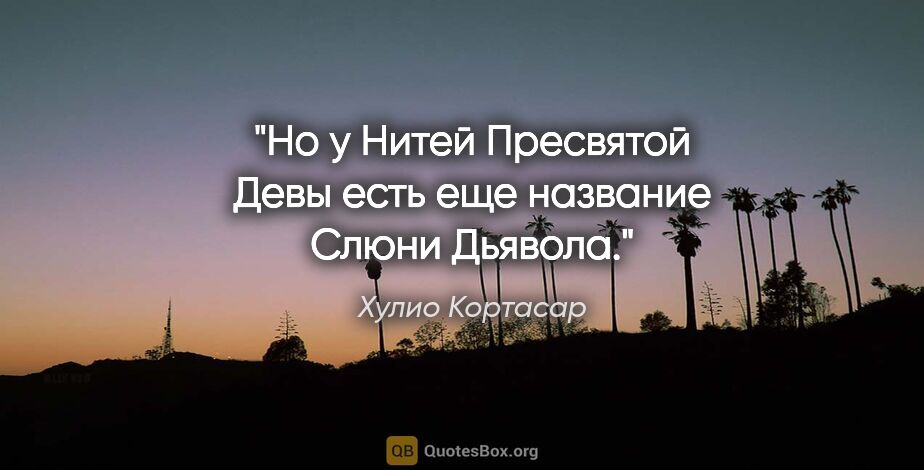 Хулио Кортасар цитата: "Но у «Нитей Пресвятой Девы» есть еще название «Слюни Дьявола»."