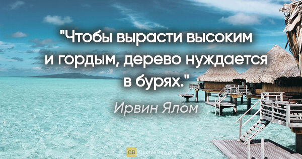 Ирвин Ялом цитата: "Чтобы вырасти высоким и гордым, дерево нуждается в бурях."