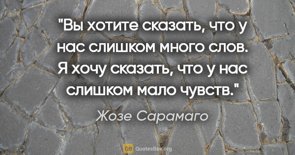 Жозе Сарамаго цитата: "Вы хотите сказать, что у нас слишком много слов. Я хочу..."