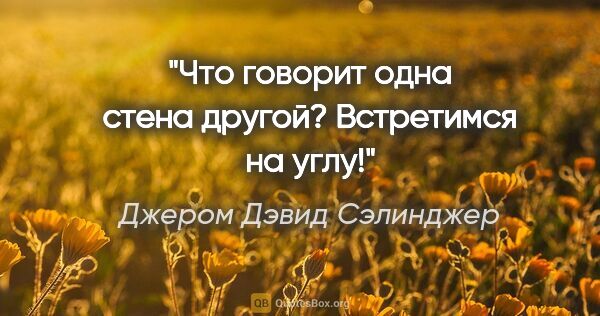 Джером Дэвид Сэлинджер цитата: "Что говорит одна стена другой?

Встретимся на углу!"