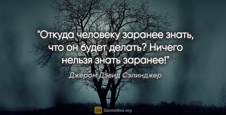 Джером Дэвид Сэлинджер цитата: "Откуда человеку заранее знать, что он будет делать? Ничего..."