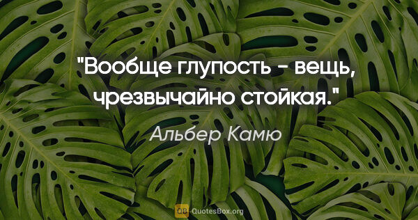 Альбер Камю цитата: "Вообще глупость - вещь, чрезвычайно стойкая."