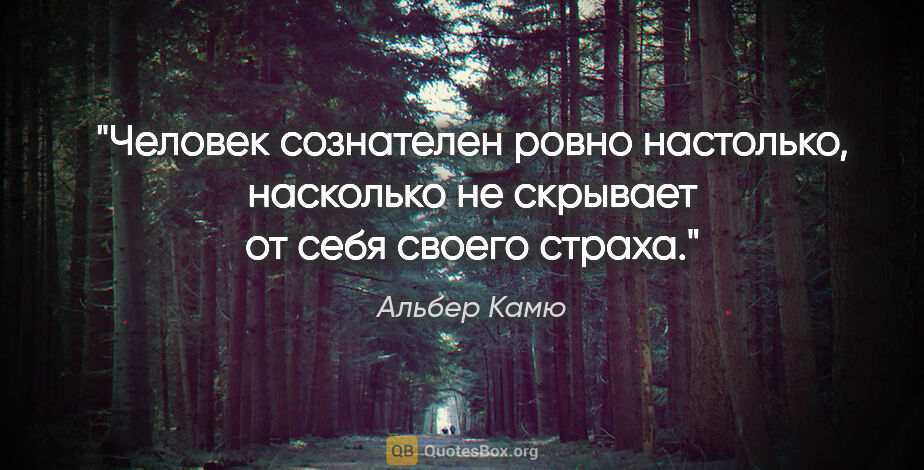Альбер Камю цитата: "Человек сознателен ровно настолько, насколько не скрывает от..."