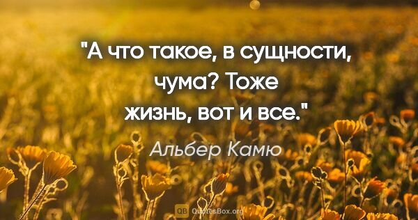 Альбер Камю цитата: "А что такое, в сущности, чума? Тоже жизнь, вот и все."