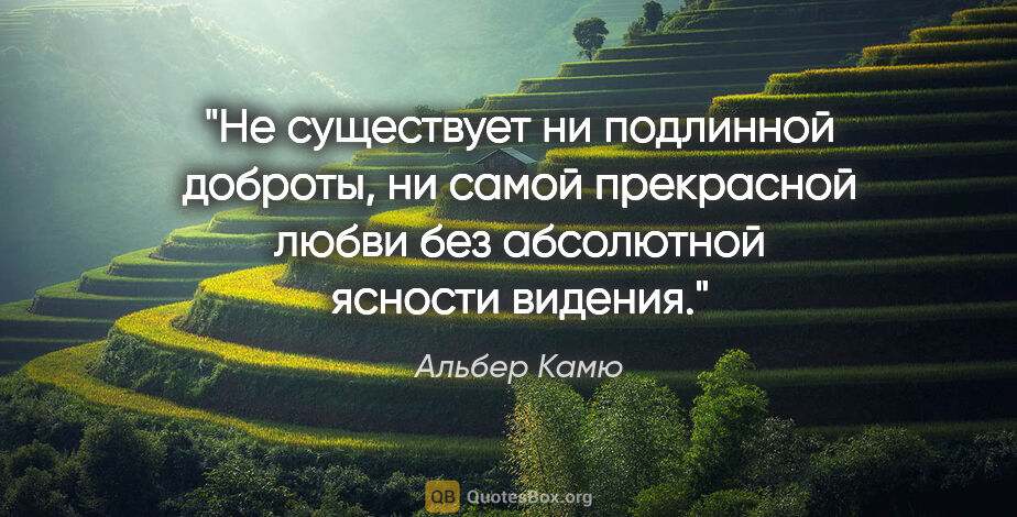 Альбер Камю цитата: "Не существует ни подлинной доброты, ни самой прекрасной любви..."